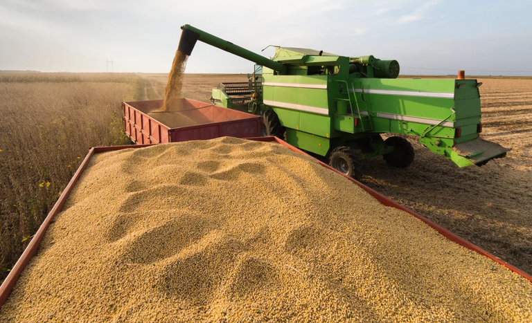 Agronegócio de Mato Grosso movimenta R$ 225 bilhões e lidera ranking nacional