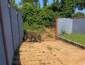 Onça-pintada é vista rondando residências e propriedades rurais em Tapurah