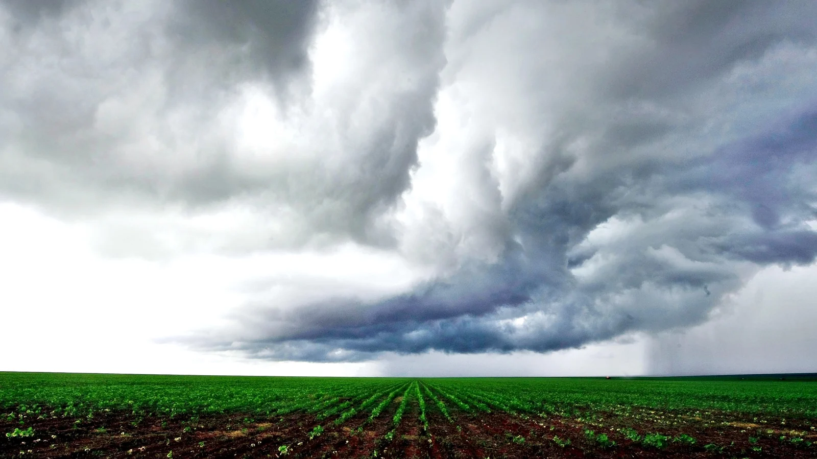 Chuvas favorecem campo em Mato Grosso, mas El Niño exige atenção
