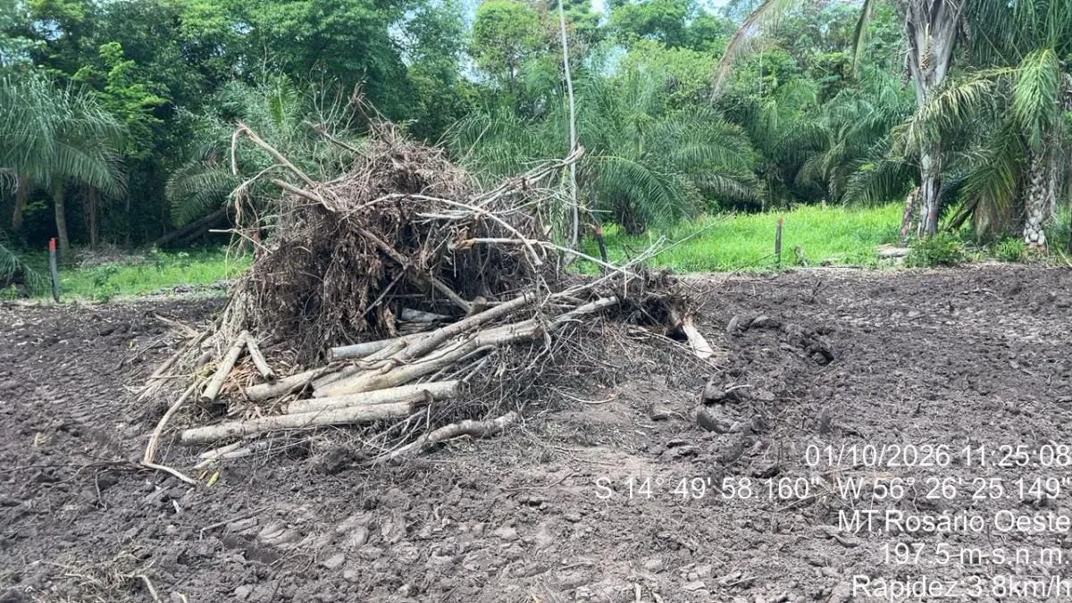 PM Ambiental embarga área de desmatamento ilegal por corte raso na zona rural de Rosário Oeste