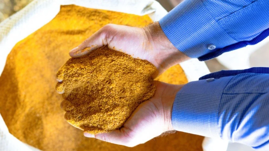 China vira principal destino e acelera vendas do coproduto de milho em Mato Grosso
