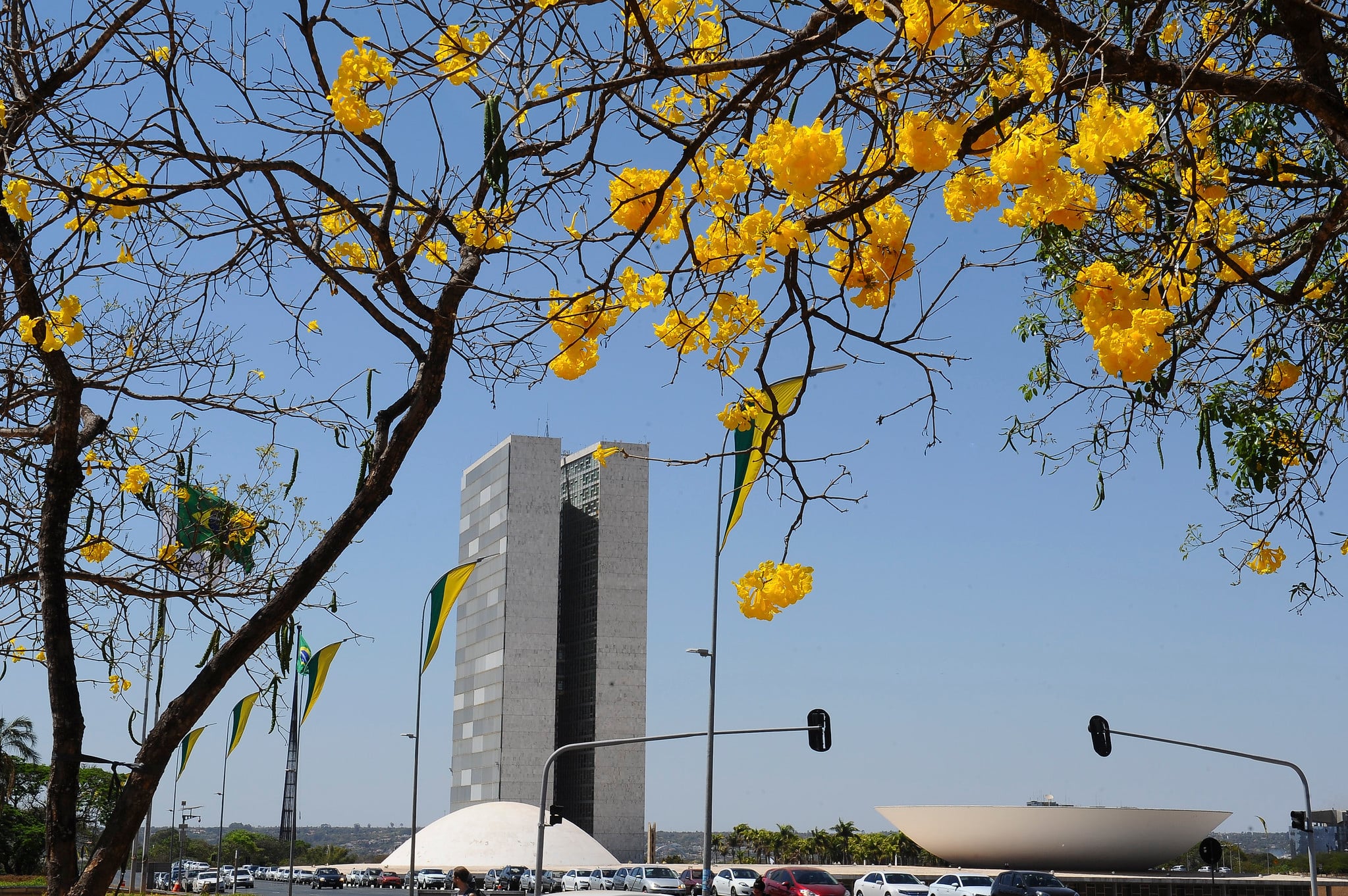 Fachada congresso candidatos deputado federal mato grosso mt eleicoes