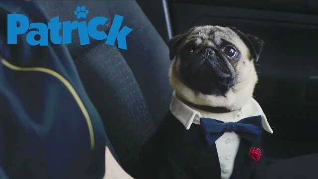 Filme Patrick
