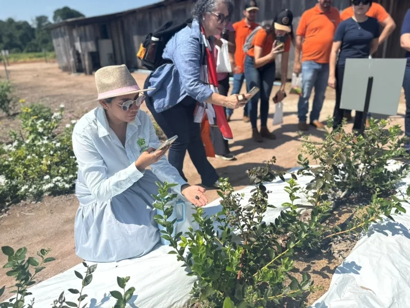 Sinop cria experiência de turismo rural para fomentar economia em Mato Grosso